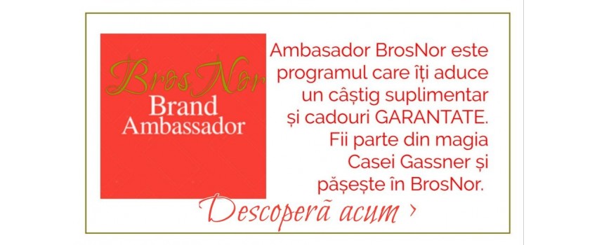 Ambasador_BrosNor